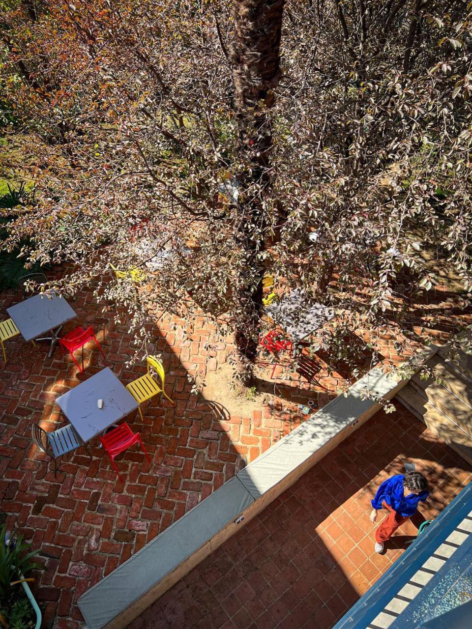 Black Tomato Hostel Kutaisi Dış mekan fotoğraf